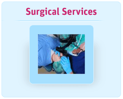 Surgical Services including LASIK, Cataract/Glaucoma/Eyelid/Laser surgery and Botox
